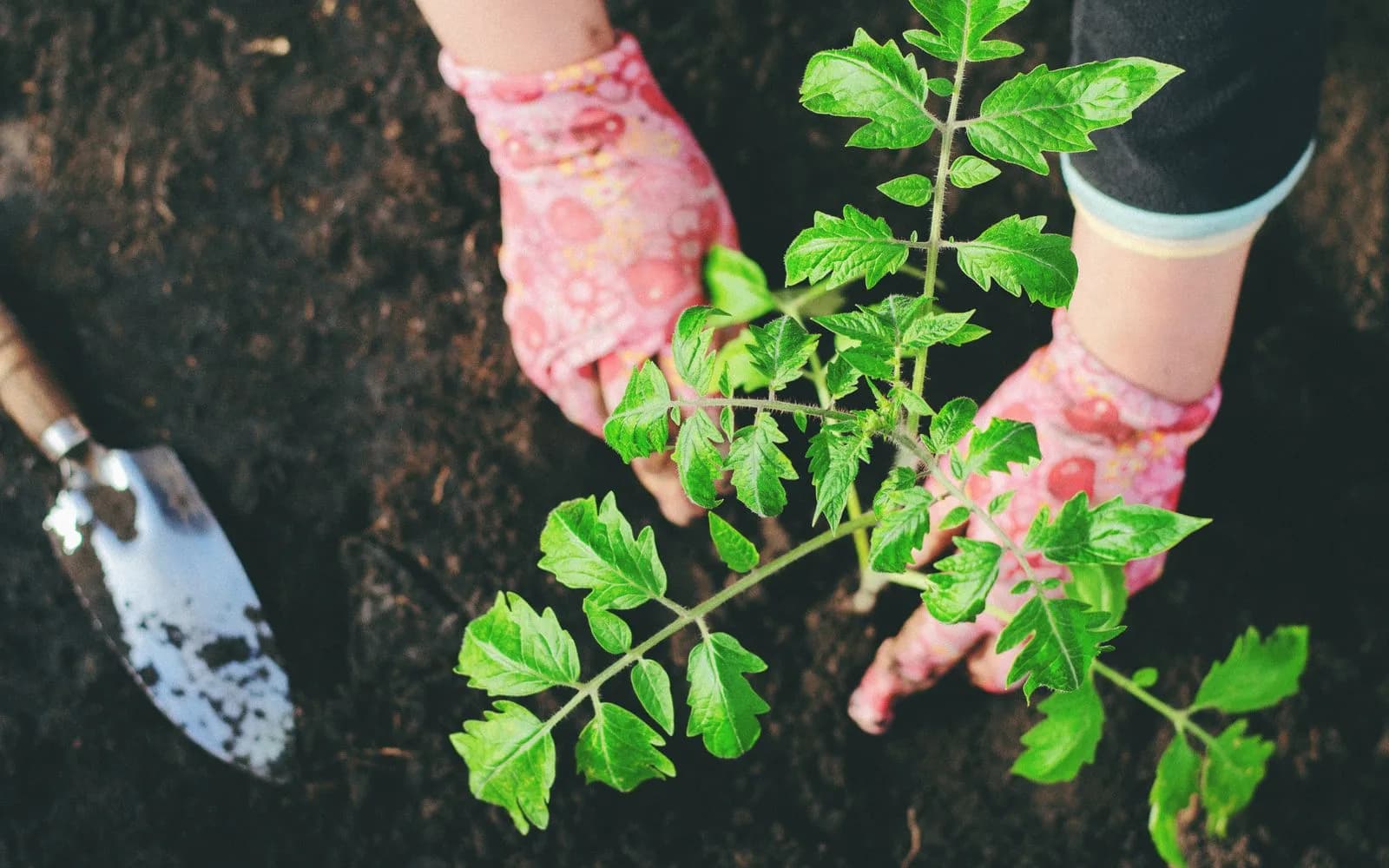 Équiper son jardin : 6 indispensables pour la belle saison