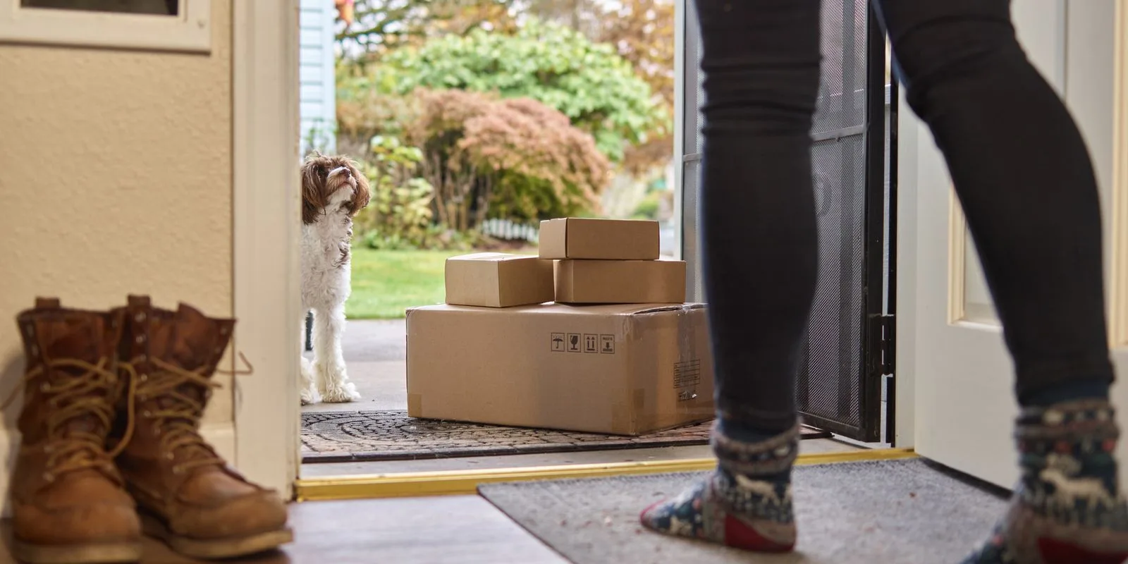 Des colis déposés devant une porte d'entrée ouverte, un chien sur le pas de la porte