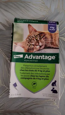 Advantage 80 anti-puces chat et lapin de plus de 4 kg (pipettes), photo prise par Marwane
