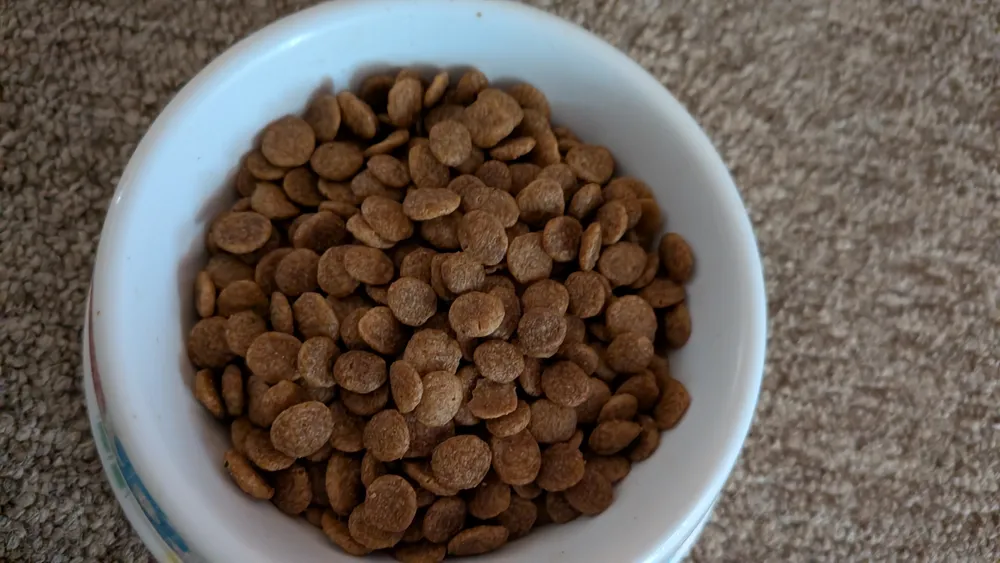 Croquettes pour chat by Amazon sans céréales (3 kg), photo 4 prise par Marwane