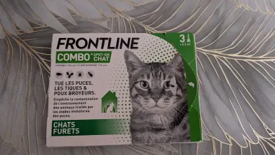 FRONTLINE Combo Chat anti-puces et tiques (pipettes spot-on), photo prise par Marwane