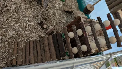 Plateforme d'escalade en bois pour hamster FTISSLY, photo 2 prise par Marwane