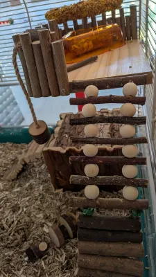 Plateforme d'escalade en bois pour hamster FTISSLY, photo 3 prise par Marwane