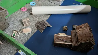 Jouets à mâcher YIXUND pour hamster et rongeurs, photo prise par Marwane