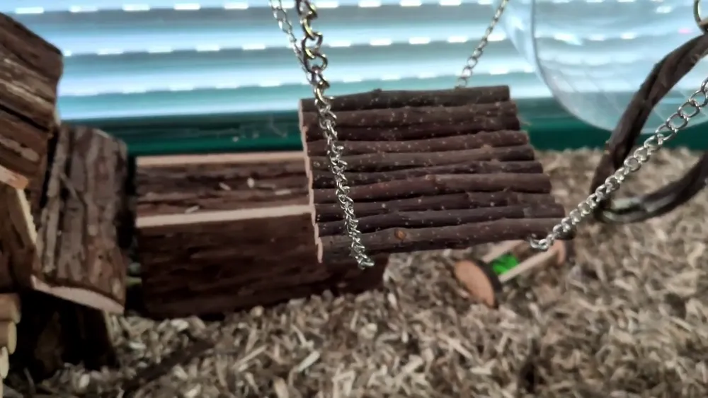 Jouets à mâcher YIXUND pour hamster et rongeurs, vidéo 1 filmée par Marwane