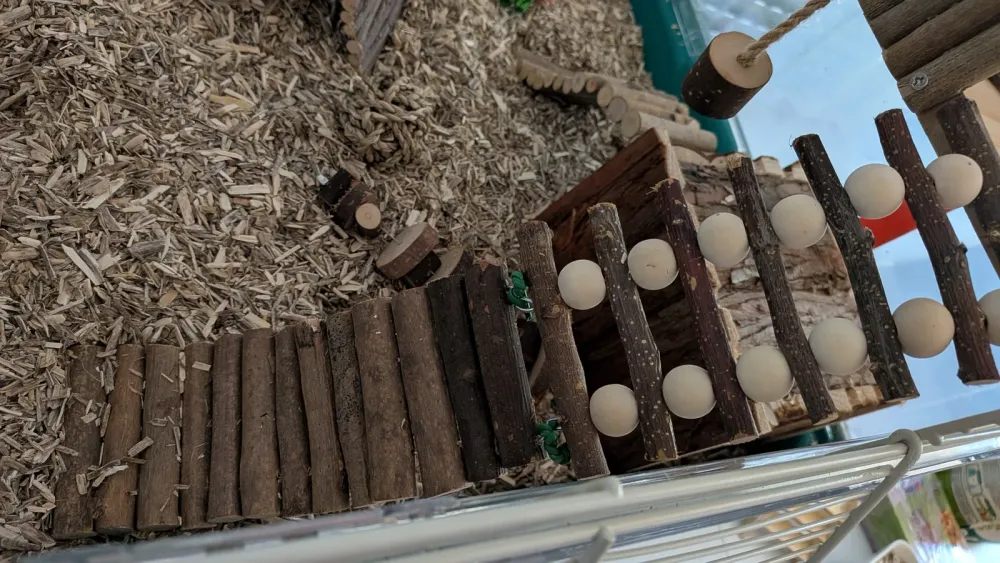 Plateforme d'escalade en bois pour hamster FTISSLY, photo 2 prise par Marwane