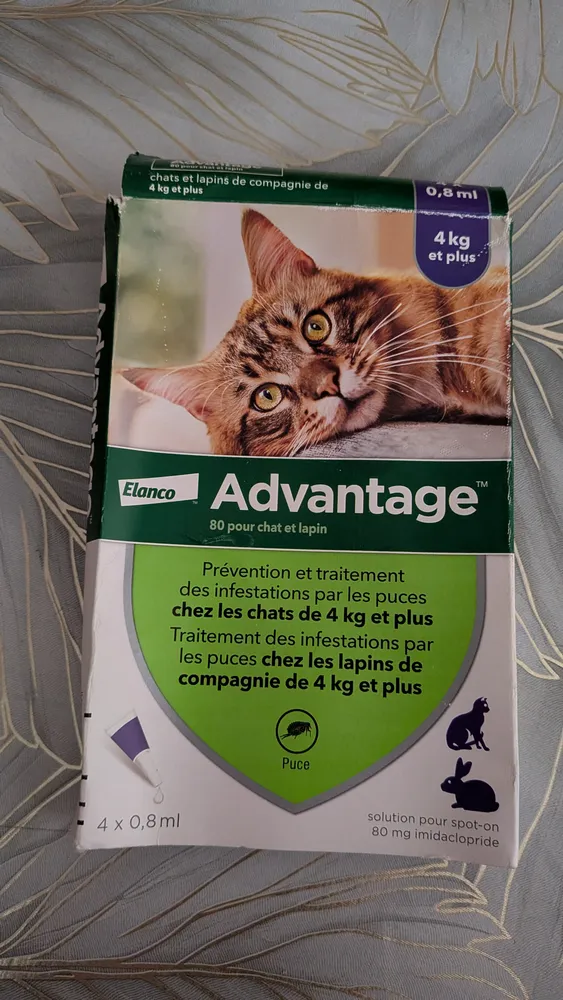 Advantage 80 anti-puces chat et lapin de plus de 4 kg (pipettes), photo 1 prise par Marwane