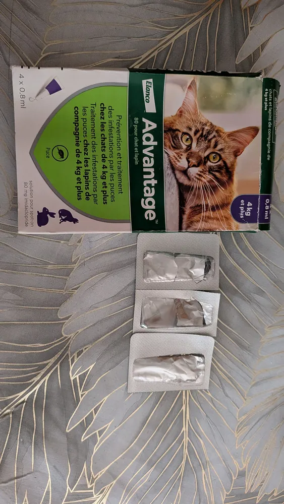 Advantage 80 anti-puces chat et lapin de plus de 4 kg (pipettes), photo 2 prise par Marwane