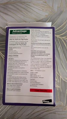 Advantage 80 anti-puces chat et lapin de plus de 4 kg (pipettes), photo 3 prise par Marwane