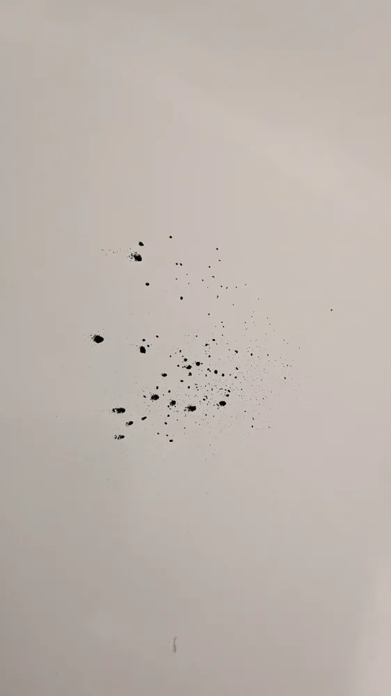 Poudre de charbon actif de coco pour dents (menthe), photo 4 prise par Marwane