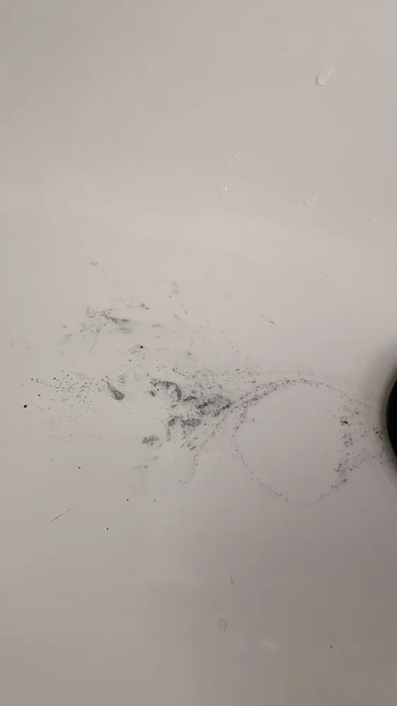 Poudre de charbon actif de coco pour dents (menthe), photo 5 prise par Marwane