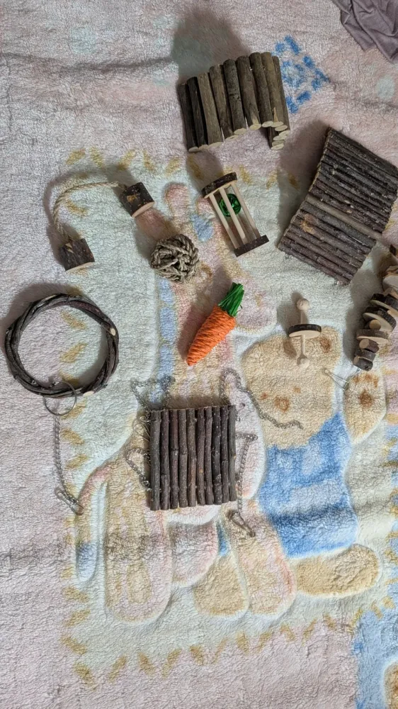 Jouets à mâcher YIXUND pour hamster et rongeurs, photo 2 prise par Marwane