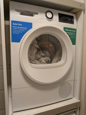 Sèche-linge Bosch WQG133DTFR Série 6 (pompe à chaleur, 8 kg), photo prise par Marwane
