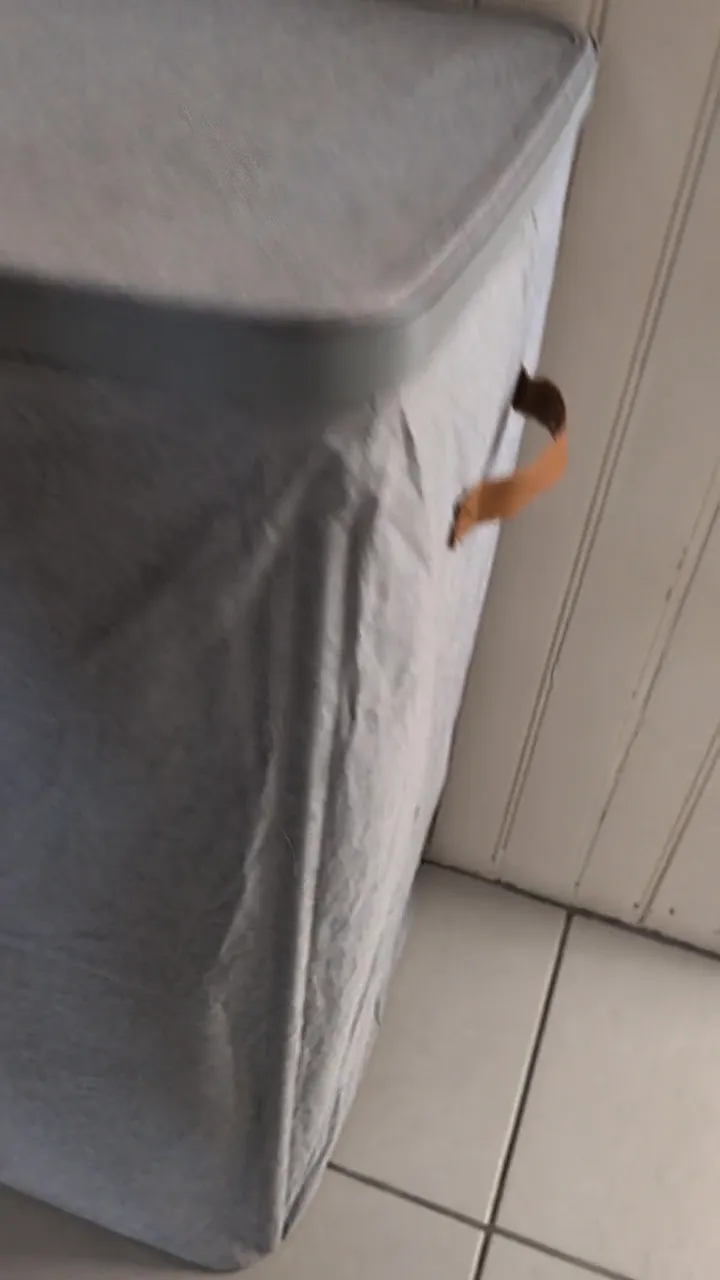 Panier à linge SONGMICS 170 L (2 compartiments), image de la vidéo filmée par Marwane