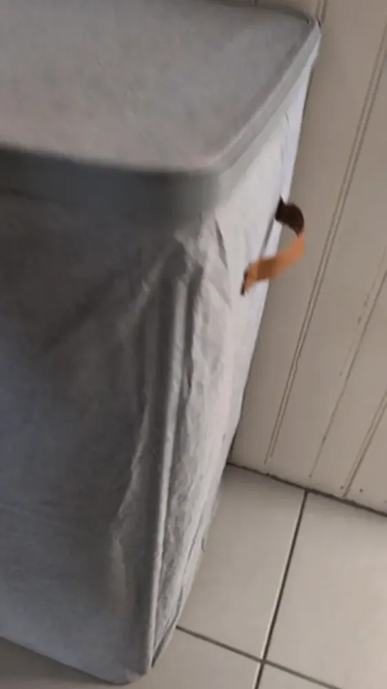 Panier à linge SONGMICS 170 L (2 compartiments), vidéo 1 filmée par Marwane