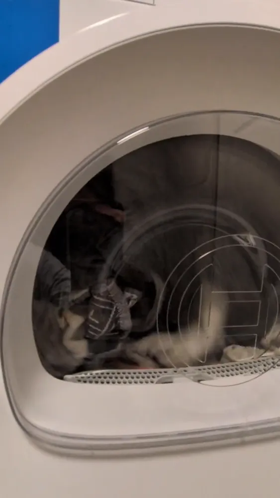 Sèche-linge Bosch WQG133DTFR Série 6 (pompe à chaleur, 8 kg), vidéo 1 filmée par Marwane
