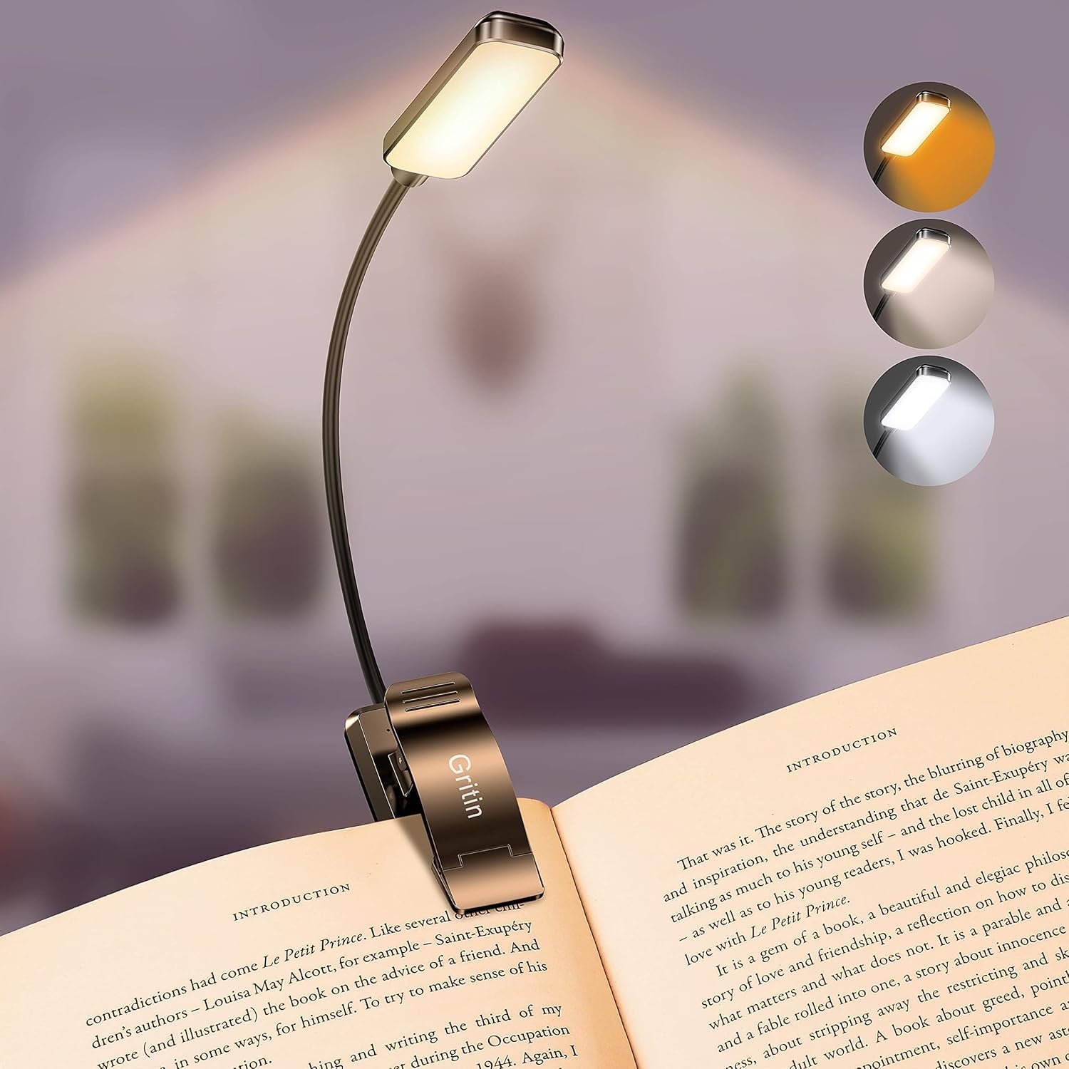 LAMPE DE LECTURE 9 LED GRITIN