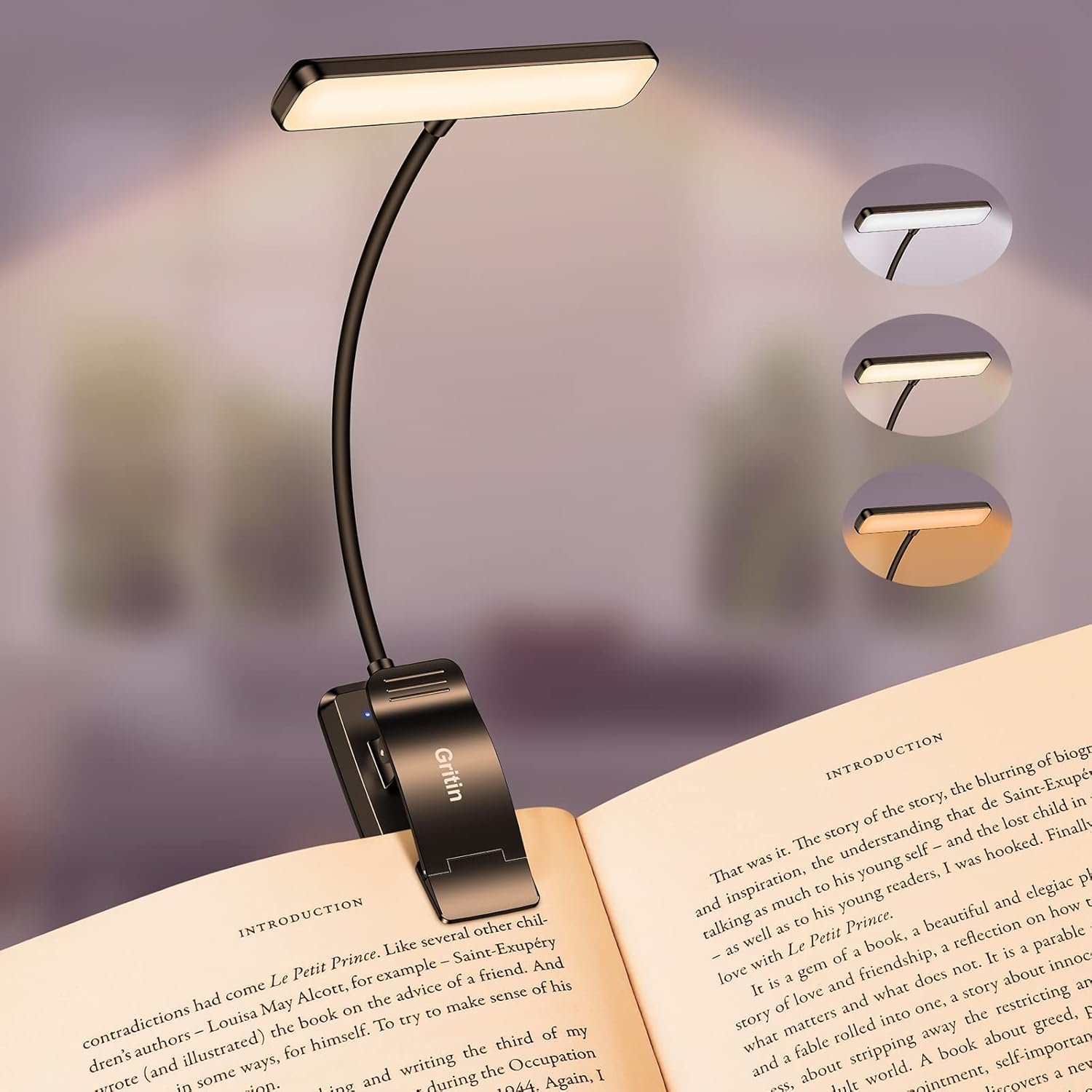 LAMPE DE LECTURE GRITIN